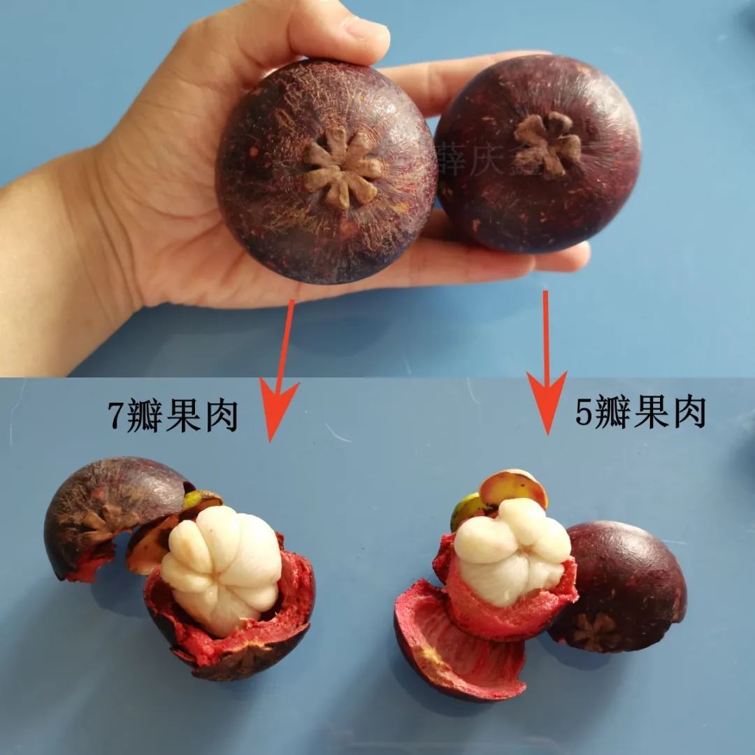 看了那么多科普,還是不懂量子?這次一定教會(huì)你!