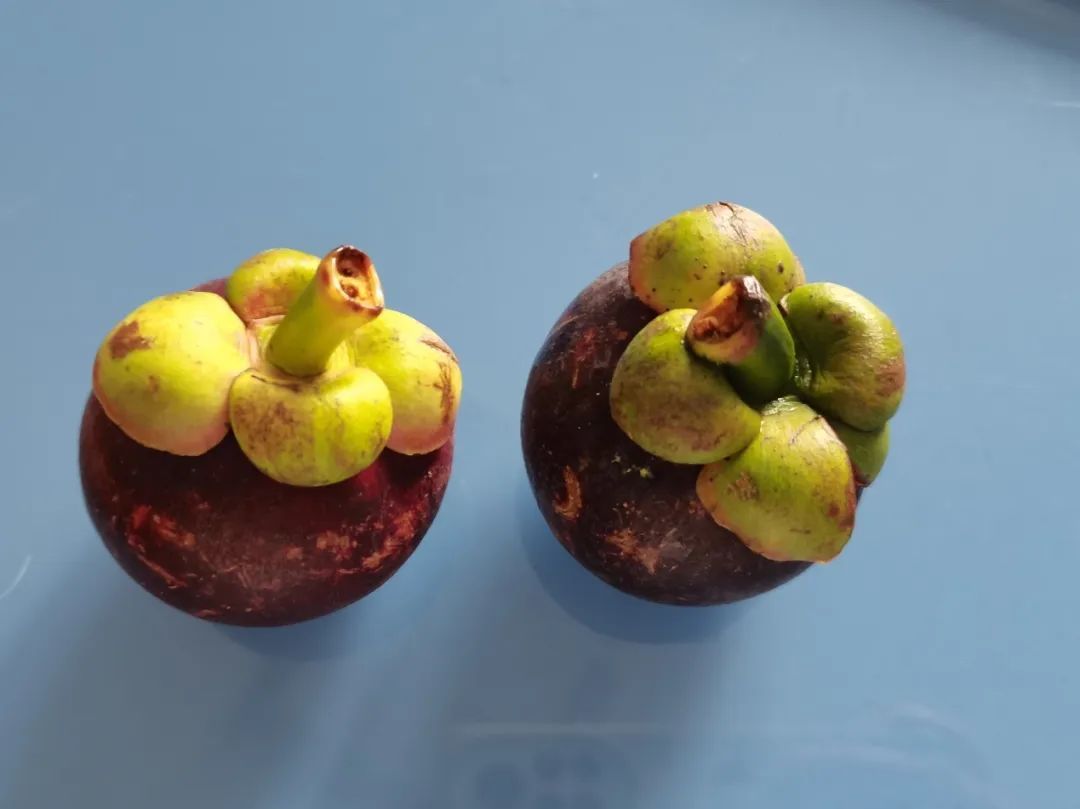 看了那么多科普,還是不懂量子?這次一定教會(huì)你!