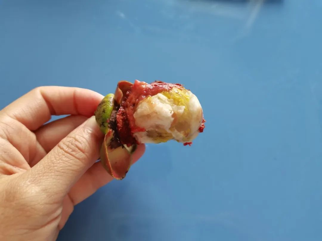 看了那么多科普,還是不懂量子?這次一定教會(huì)你!