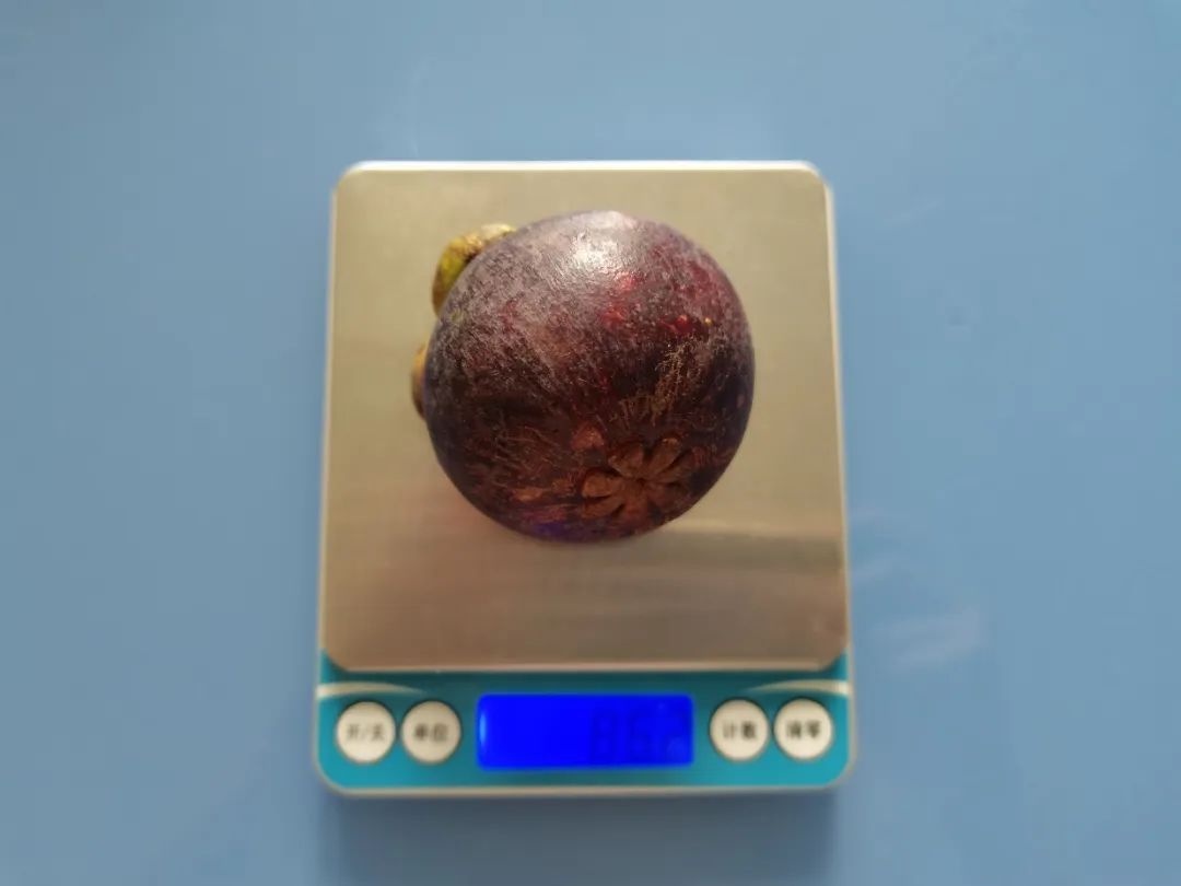 看了那么多科普,還是不懂量子?這次一定教會(huì)你!