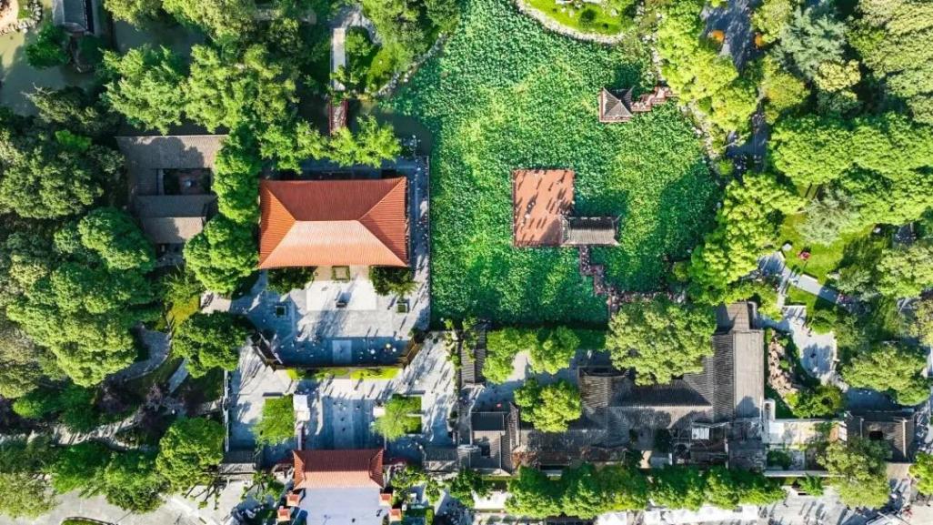 秋假遛娃首選!郫都這些地方藏著超多趣味與知識~